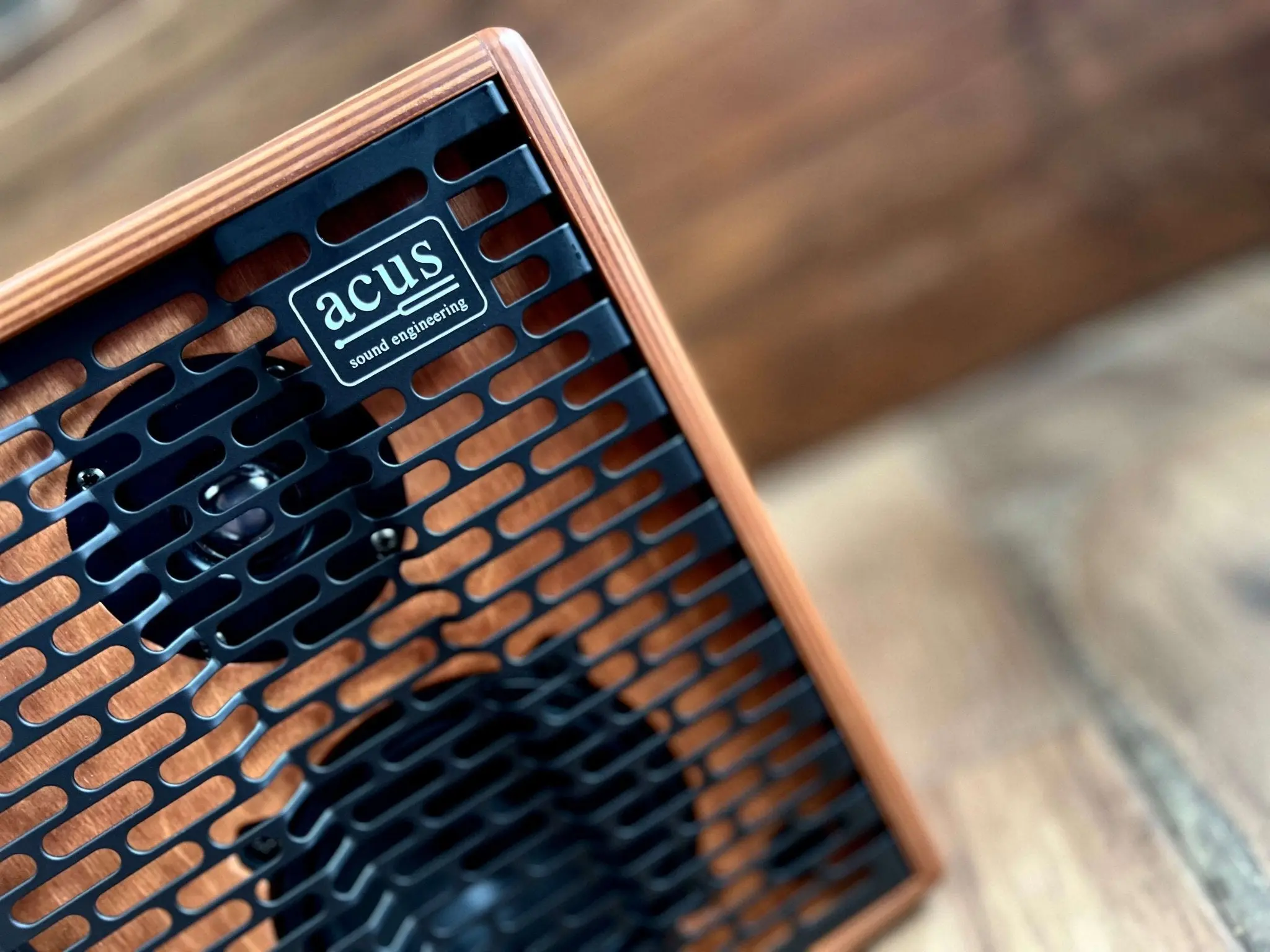 ACUS ONEFORSTRINGS 5 FERDI Wood (Richards Choice #1 Acoustic Amp) - Image 4