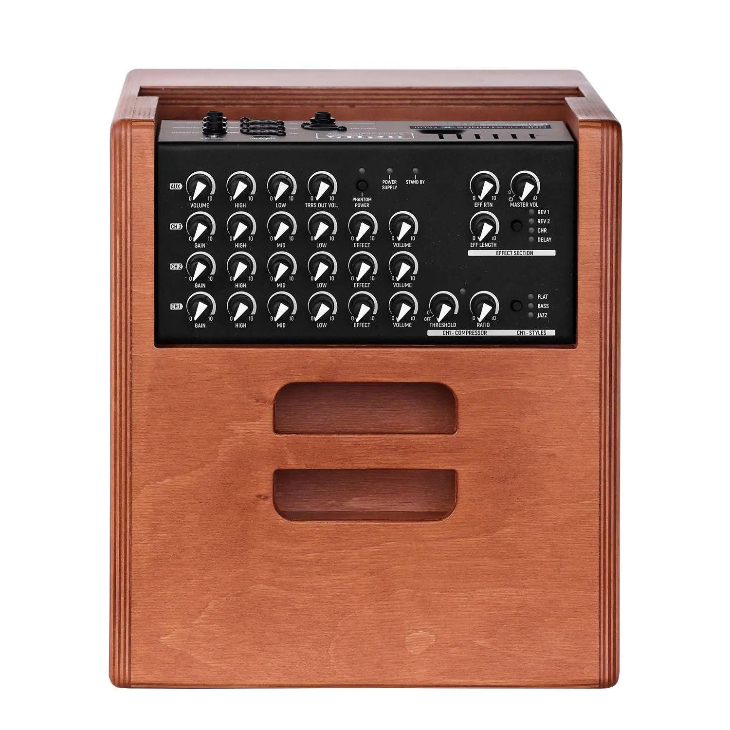 ACUS ONEFORSTRINGS 8 FERDI Wood Electro Acoustic Guitar Amplifier.  (Incredible Amp!) - Image 2