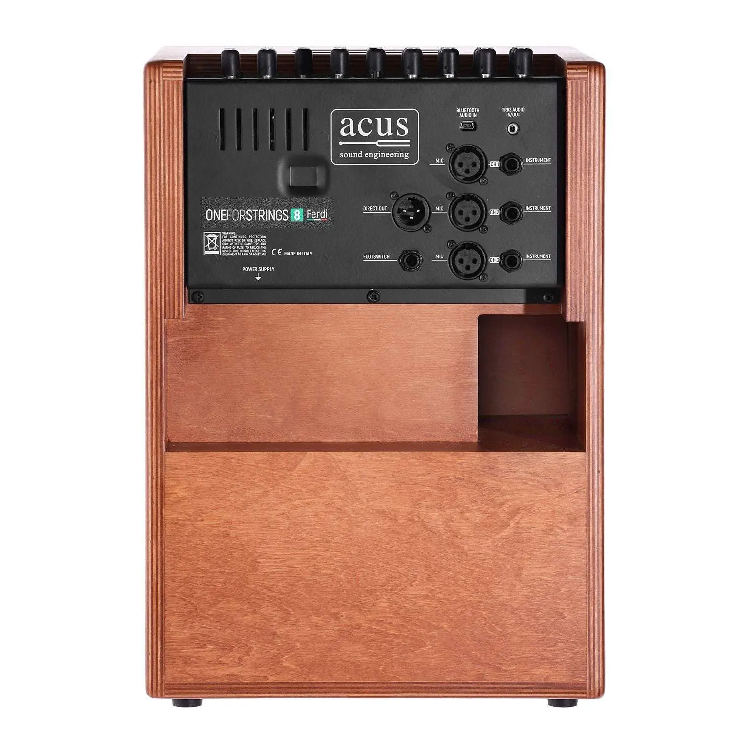 ACUS ONEFORSTRINGS 8 FERDI Wood Electro Acoustic Guitar Amplifier.  (Incredible Amp!) - Image 5