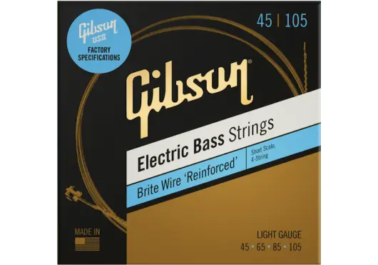 Gibson Accessories AGA SBG-SSL