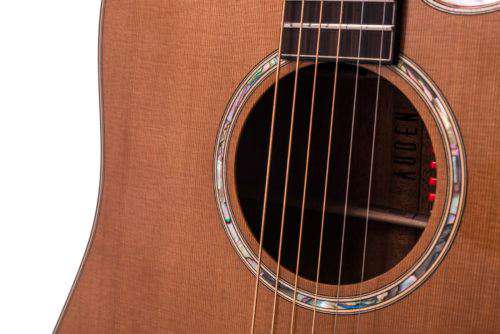 Auden Artist Mahogany Series - Colton Cedar Cutaway - Image 5