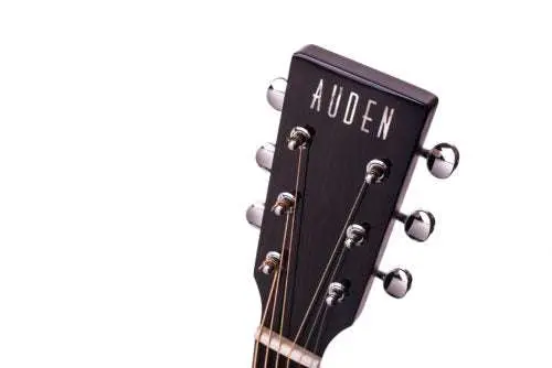 Auden Artist Mahogany Series - Colton Cedar Cutaway - Image 7