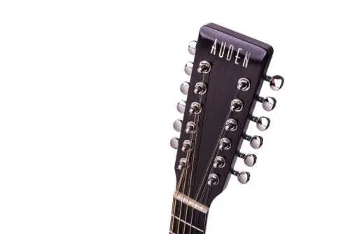 Auden Artist Rosewood Series - Colton Spruce Full Body 12 String - Image 8