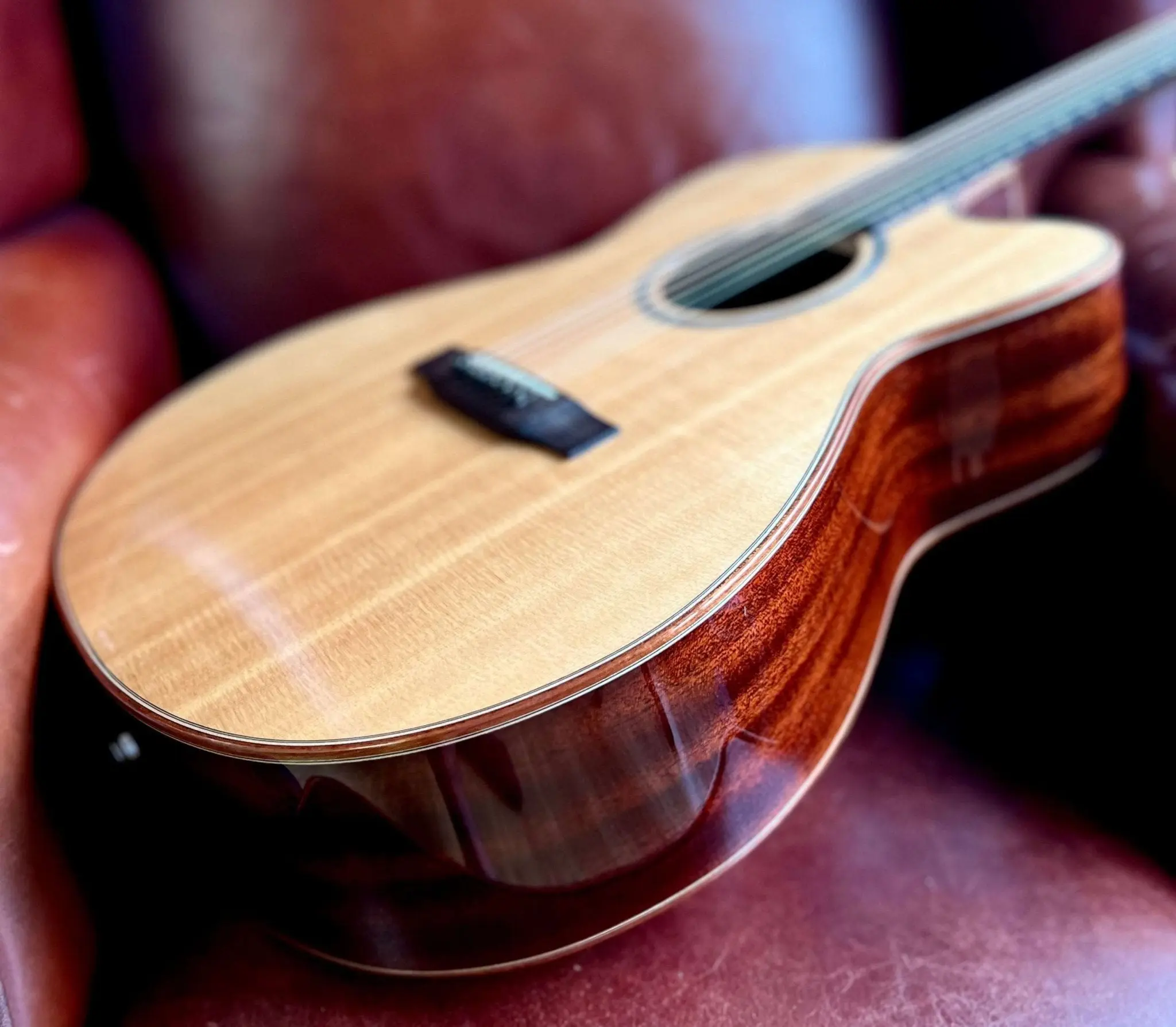 Auden Artist Mahogany Series - Austin Spruce Cutaway - Image 18
