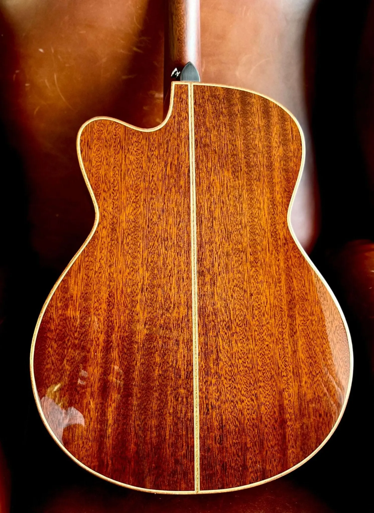 Auden Artist Mahogany Series - Austin Spruce Cutaway - Image 19