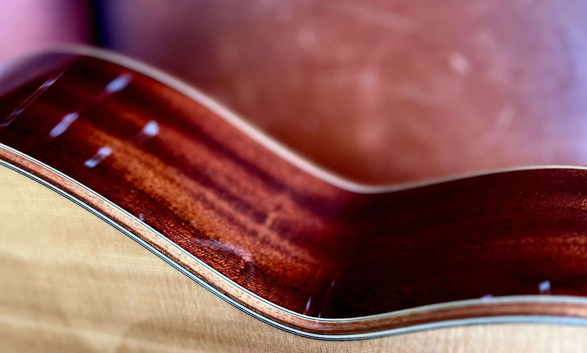 Auden Artist Mahogany Series - Austin Spruce Cutaway - Image 5