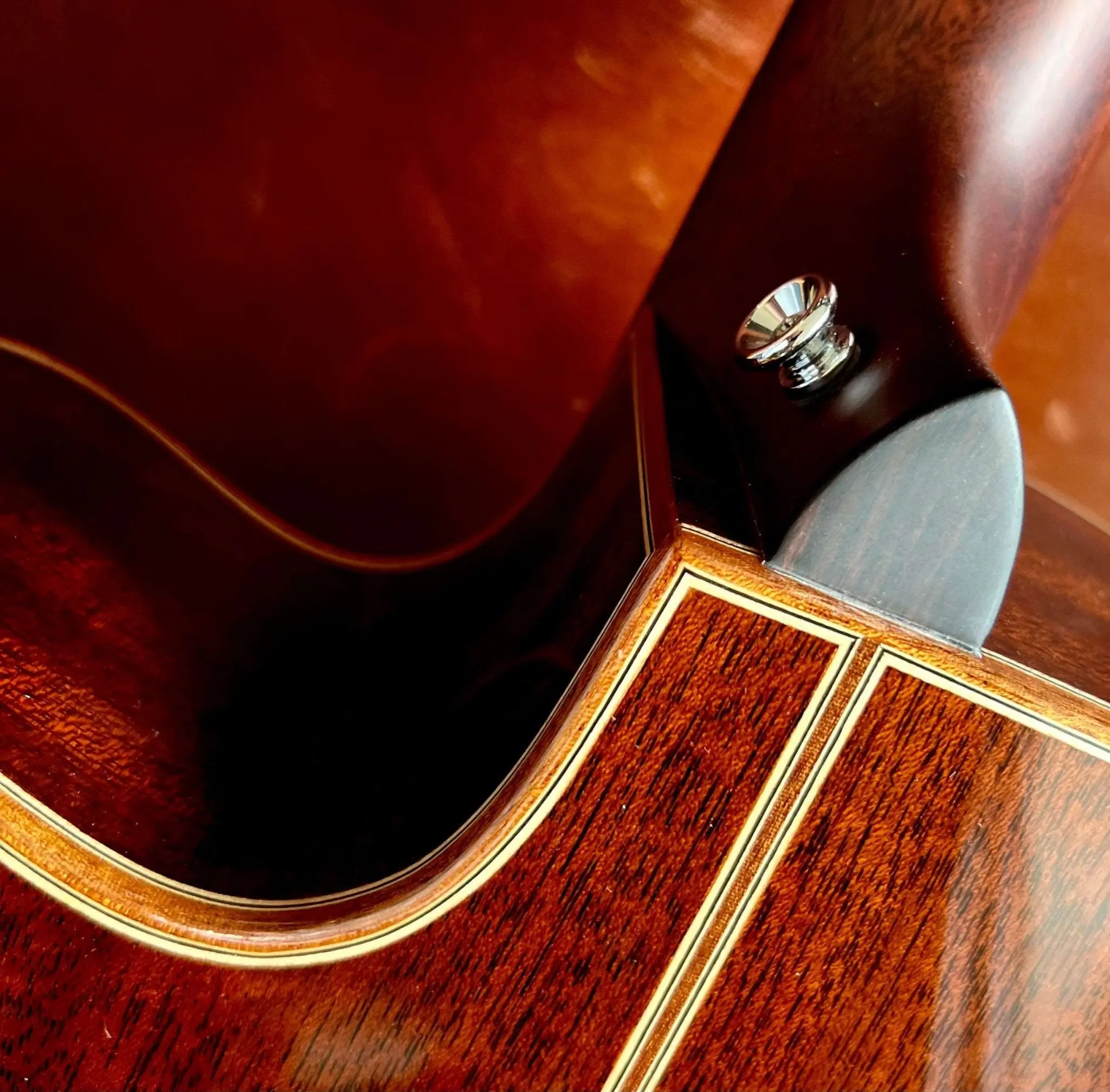 Auden Artist Mahogany Series - Austin Spruce Cutaway - Image 6