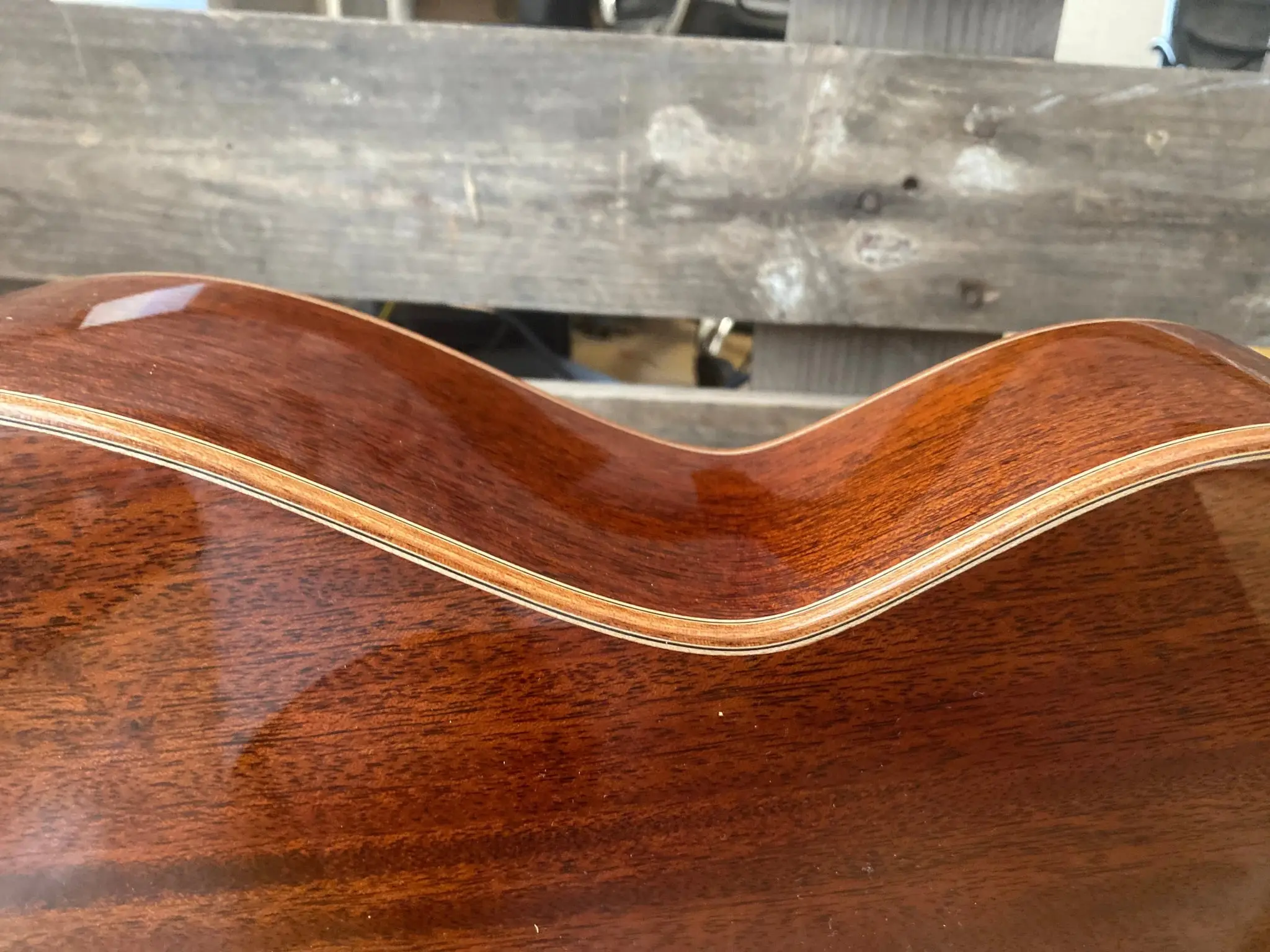 Auden Artist Mahogany Series - Austin Spruce Full Body - Image 16