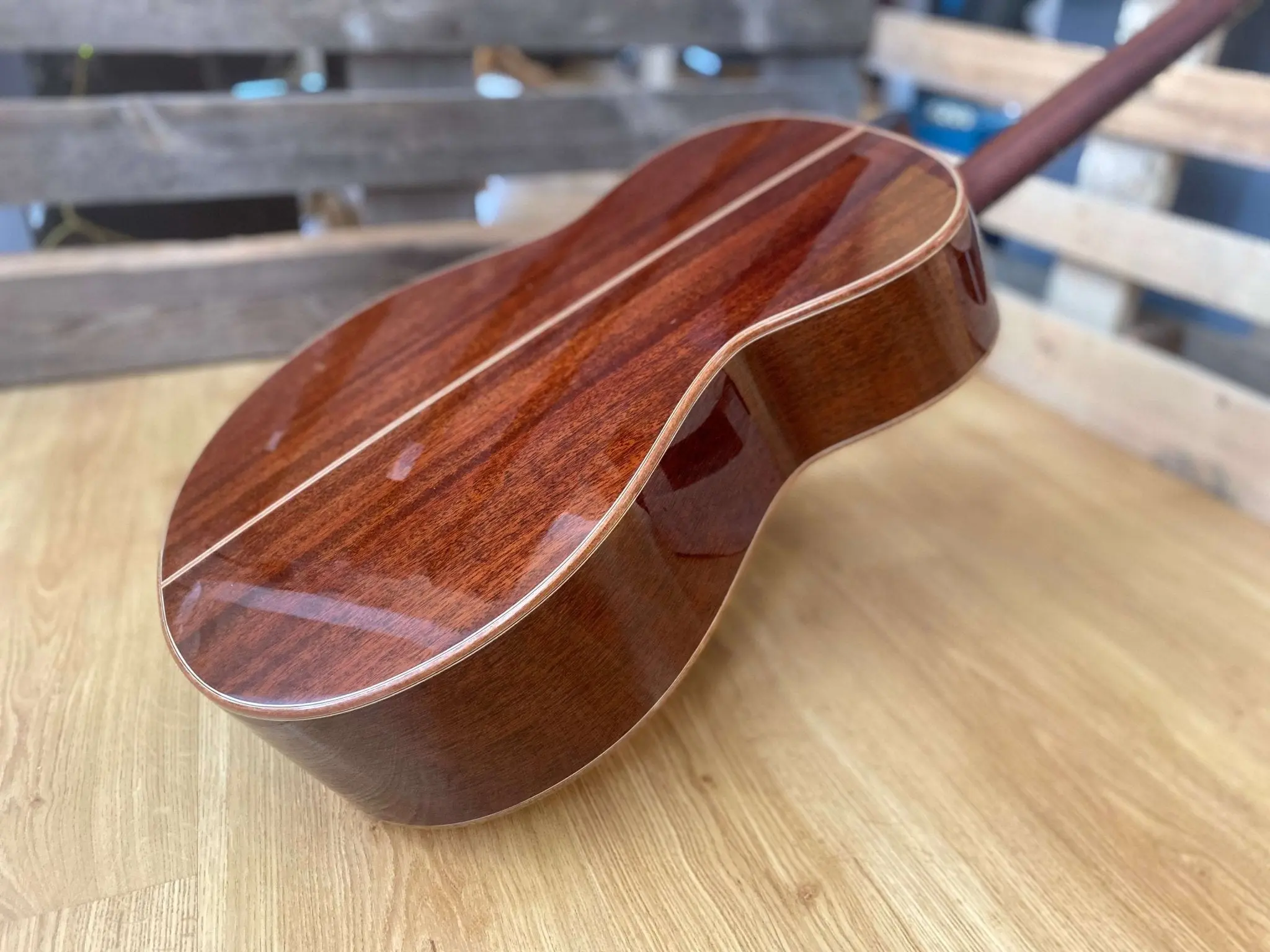 Auden Artist Mahogany Series - Austin Spruce Full Body - Image 2