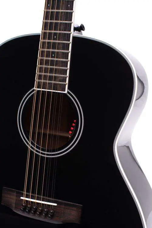 Auden JM Black Series - Austin JM12 Full Body 12 String - Image 3