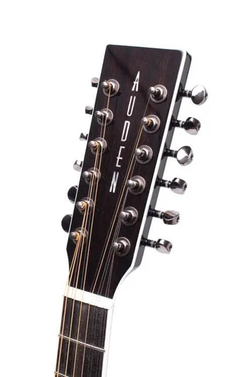 Auden JM Black Series - Austin JM12 Full Body 12 String - Image 6