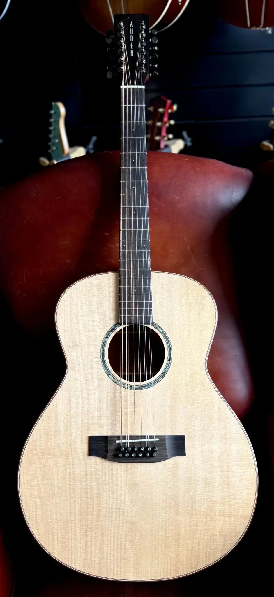 Auden Artist Mahogany Series - Austin Spruce Full Body 12 String - Image 3