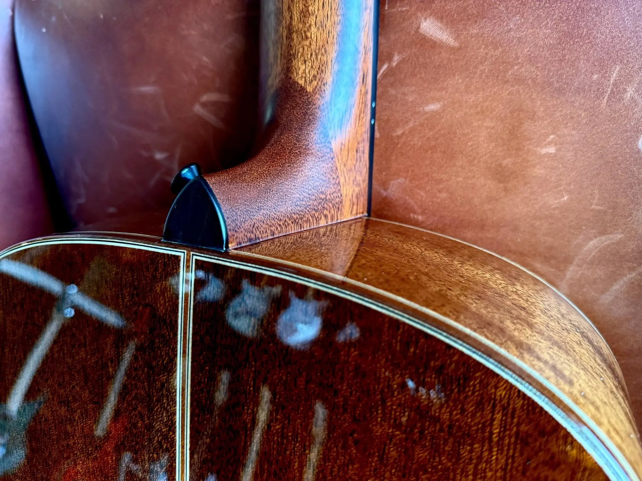 Auden Artist Mahogany Series - Austin Spruce Full Body 12 String - Image 5