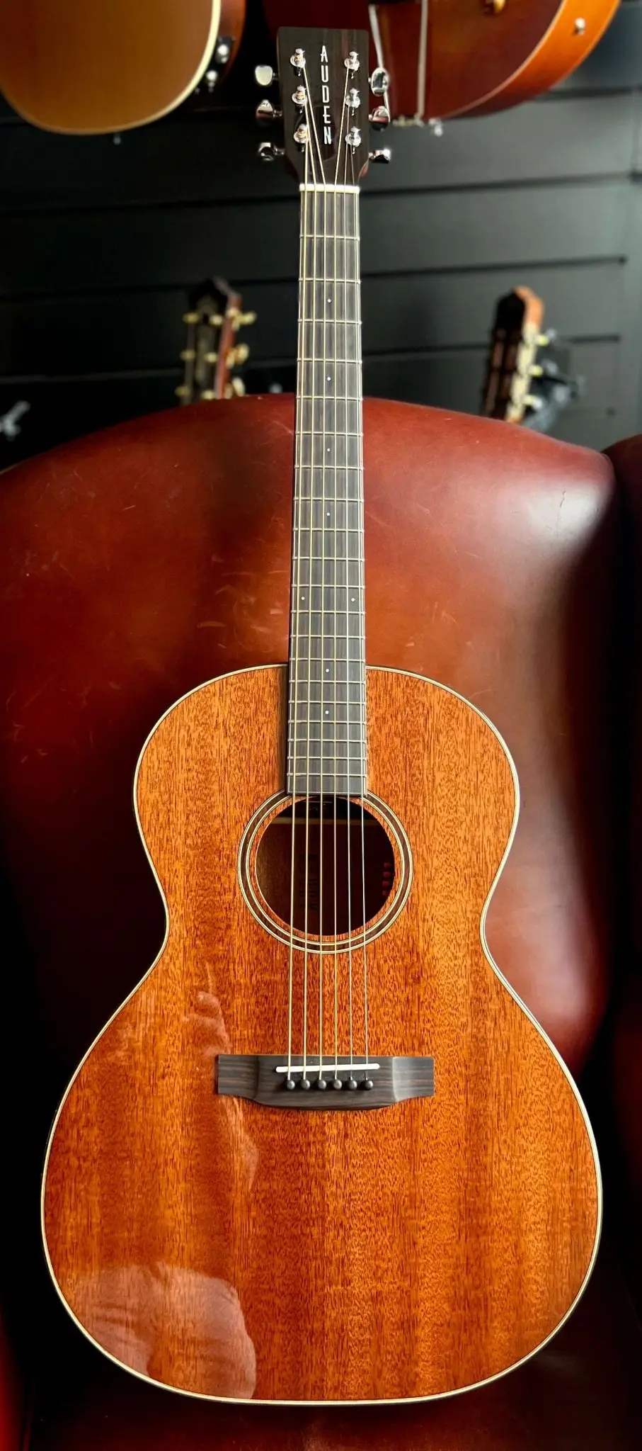 Auden Mahogany Series - Chester Full Body - Image 17