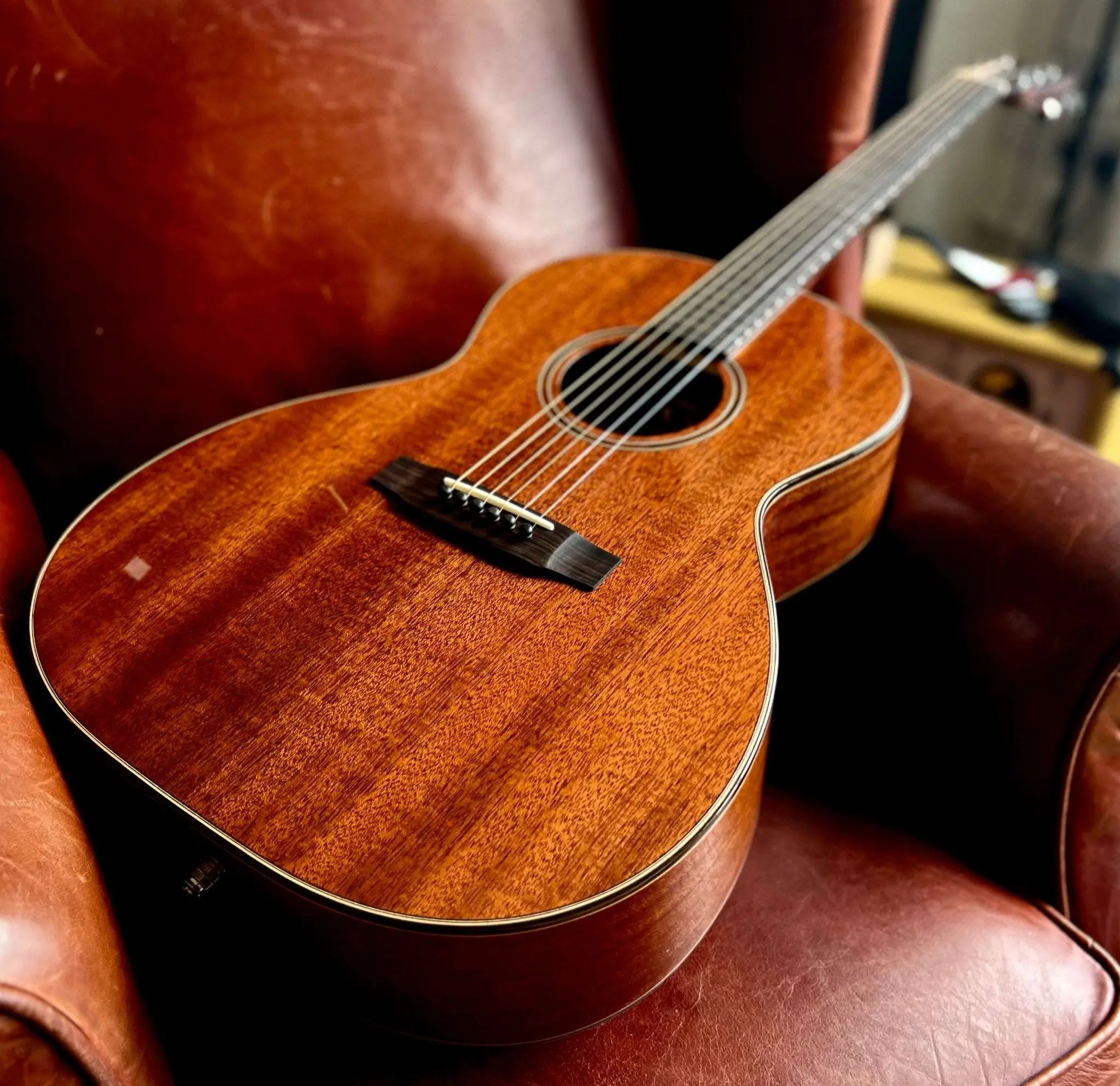 Auden Mahogany Series - Chester Full Body - Image 29