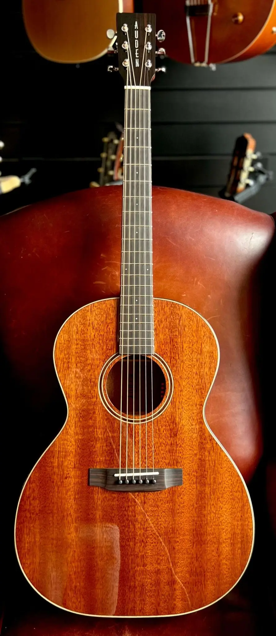 Auden Mahogany Series - Chester Full Body - Image 31