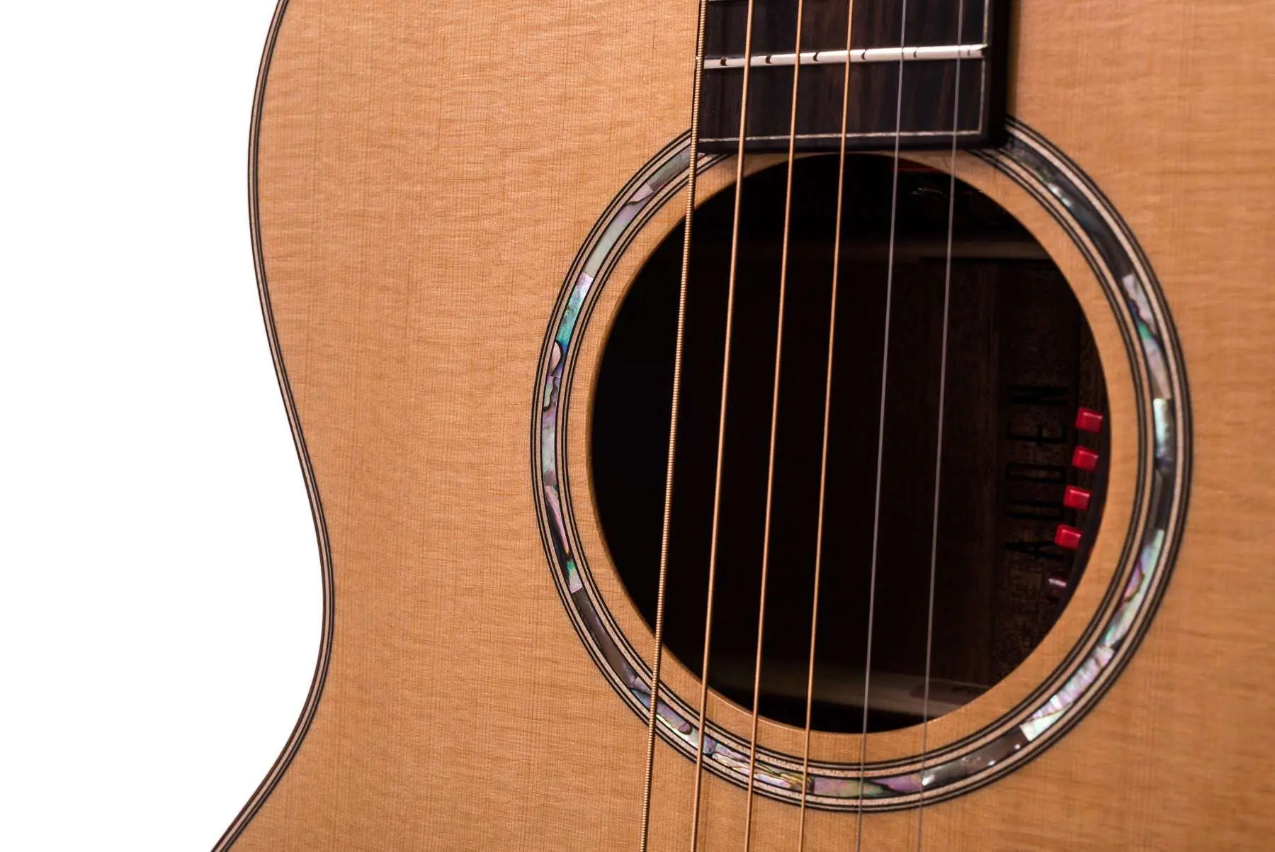 Auden Artist Mahogany Series - Chester Spruce Cutaway - Image 3