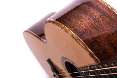 Auden Artist Mahogany Series - Chester Spruce Cutaway - Image 5
