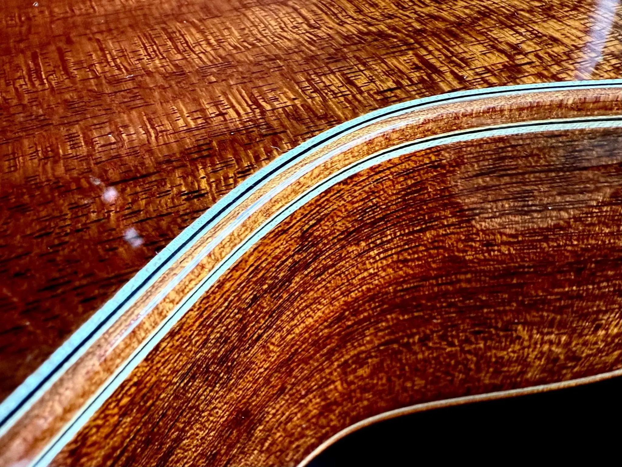 Auden Artist Mahogany Series - Emily Rose Cedar Full Body - Image 19