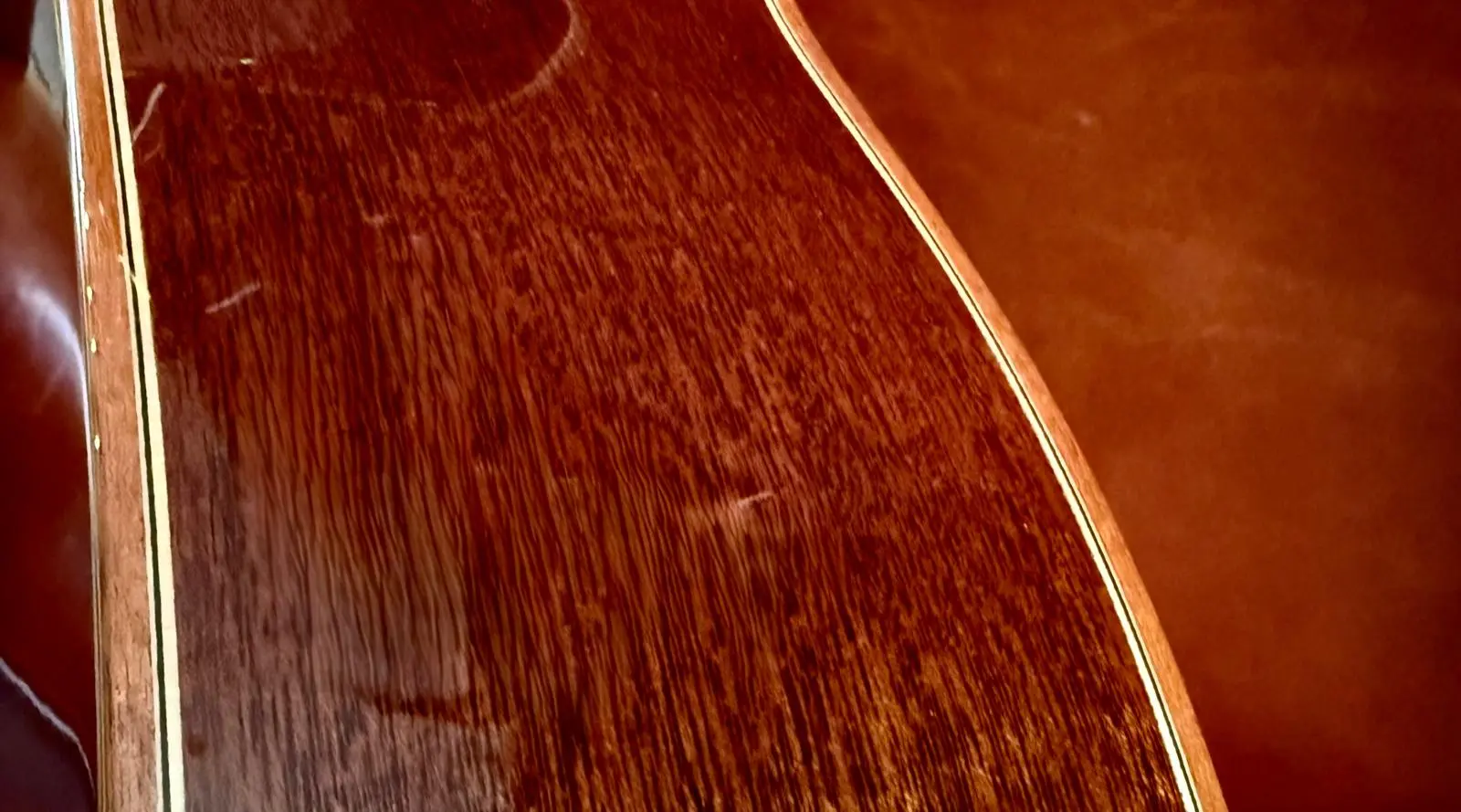 Auden Artist Mahogany Series - Julia Spruce Full Body - Image 11