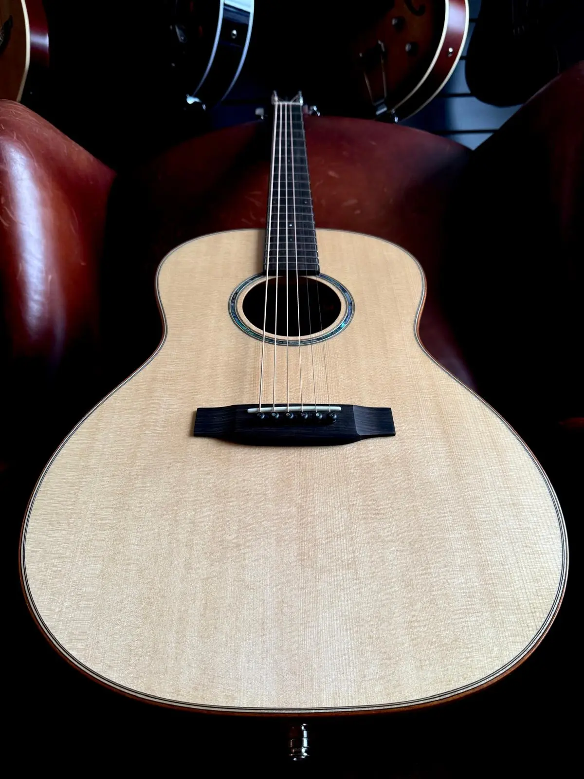 Auden Artist Mahogany Series - Julia Spruce Full Body - Image 18