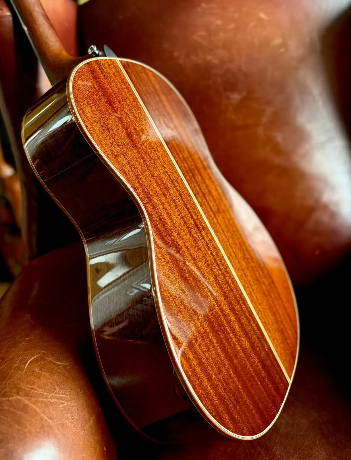 Auden Artist Mahogany Series - Julia Spruce Full Body - Image 2