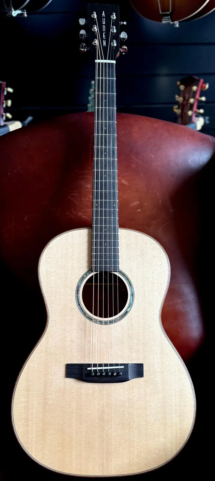 Auden Artist Mahogany Series - Julia Spruce Full Body - Image 21