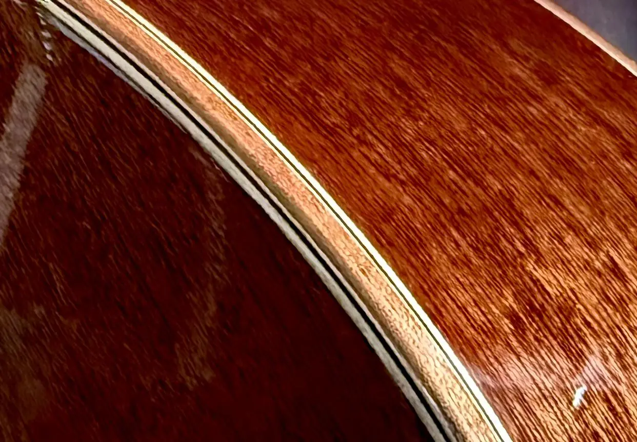 Auden Artist Mahogany Series - Julia Spruce Full Body - Image 6