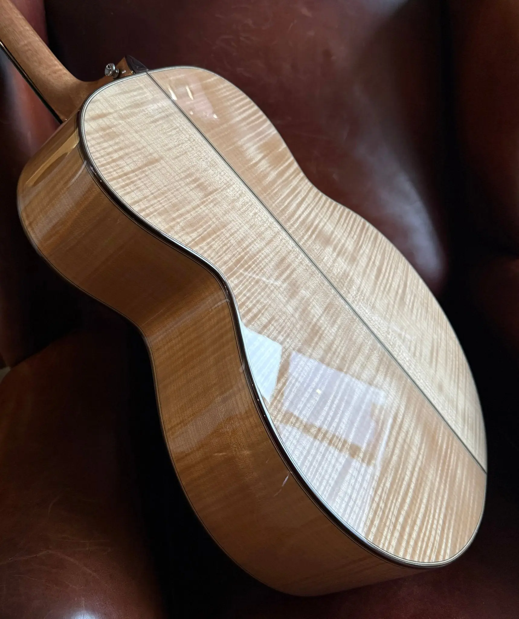 Auden Maple Series - Grace Jumbo - Image 21