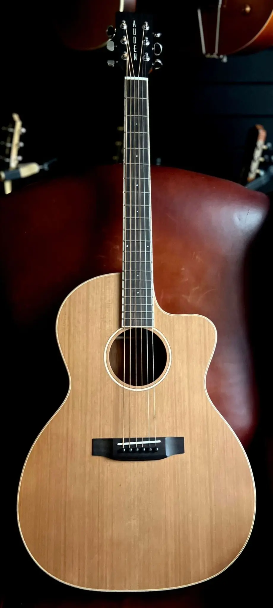 Auden Neo Series - Chester Cutaway - Image 17