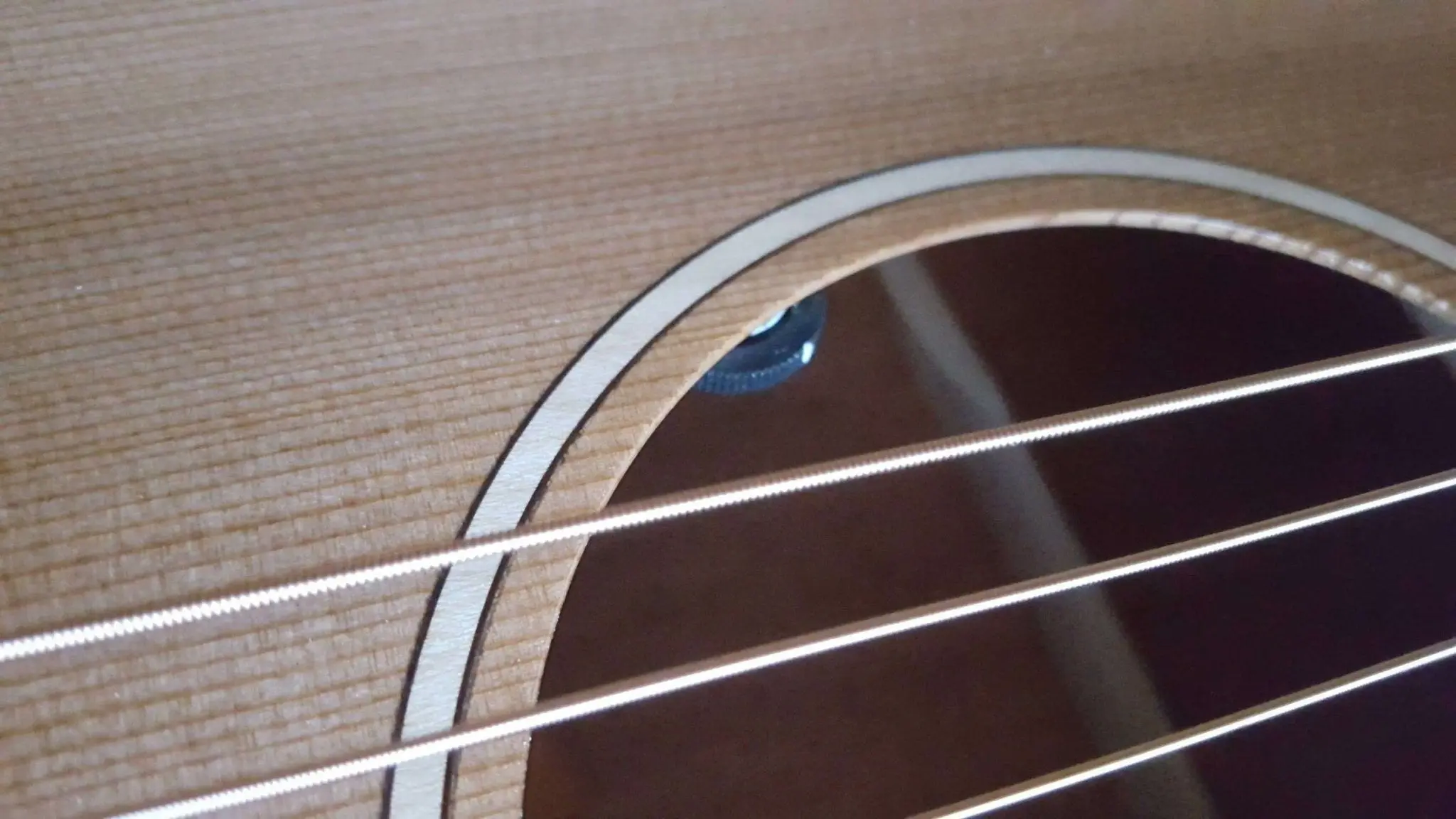 Auden Neo Series - Chester Cutaway - Image 29