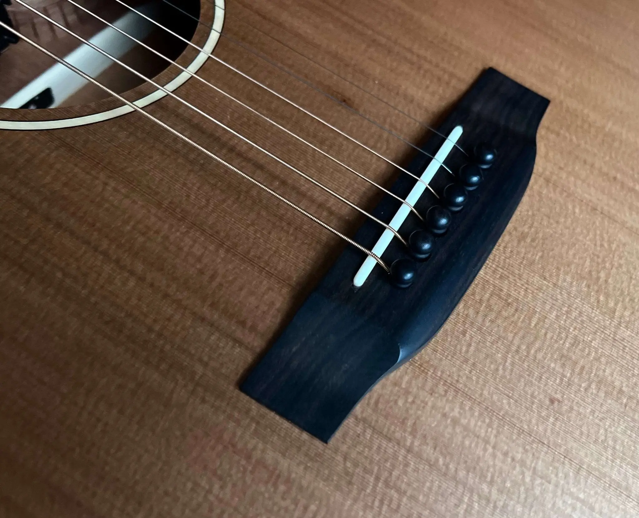 Auden Neo Series - Chester Cutaway - Image 8