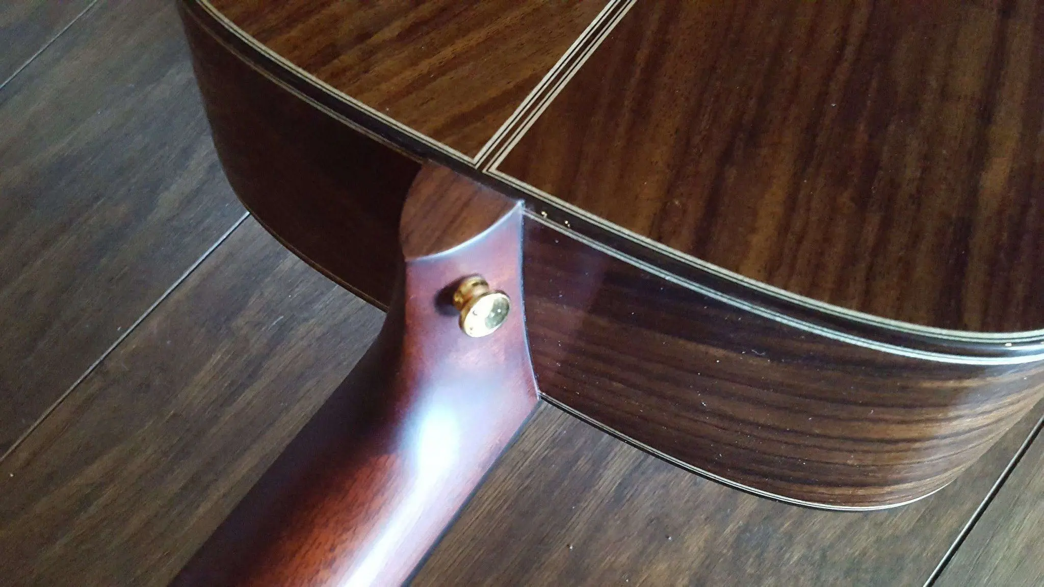 Auden Artist Rosewood Series - Bowman Spruce Full Body - Image 11