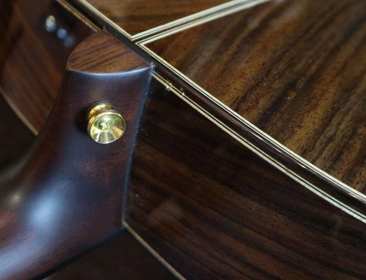 Auden Artist Rosewood Series - Bowman Spruce Full Body - Image 12