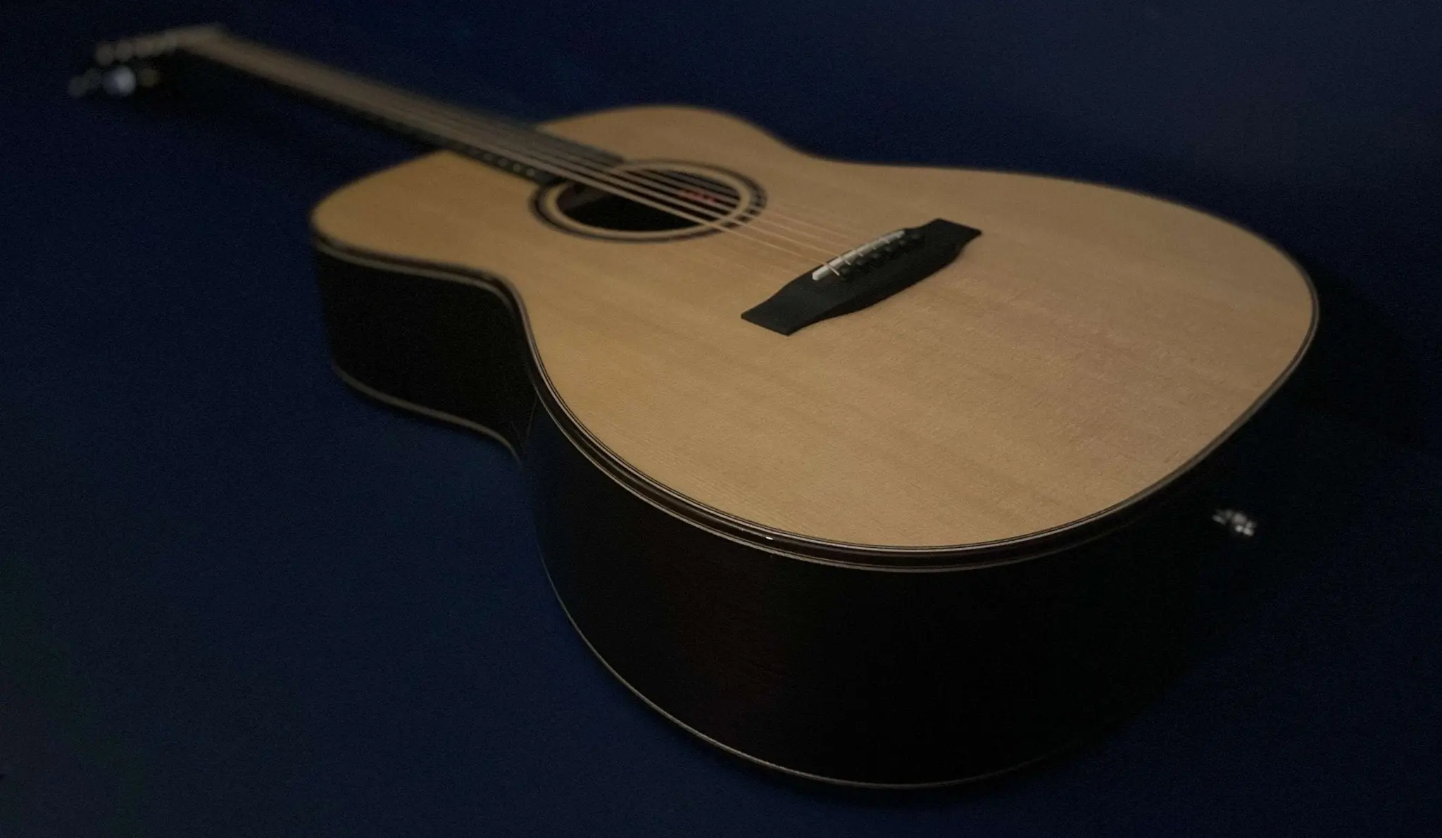 Auden Artist Rosewood Series - Bowman Spruce Full Body - Image 14
