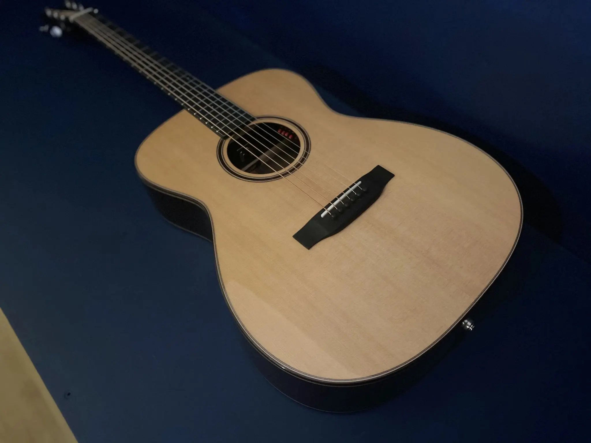 Auden Artist Rosewood Series - Bowman Spruce Full Body - Image 15