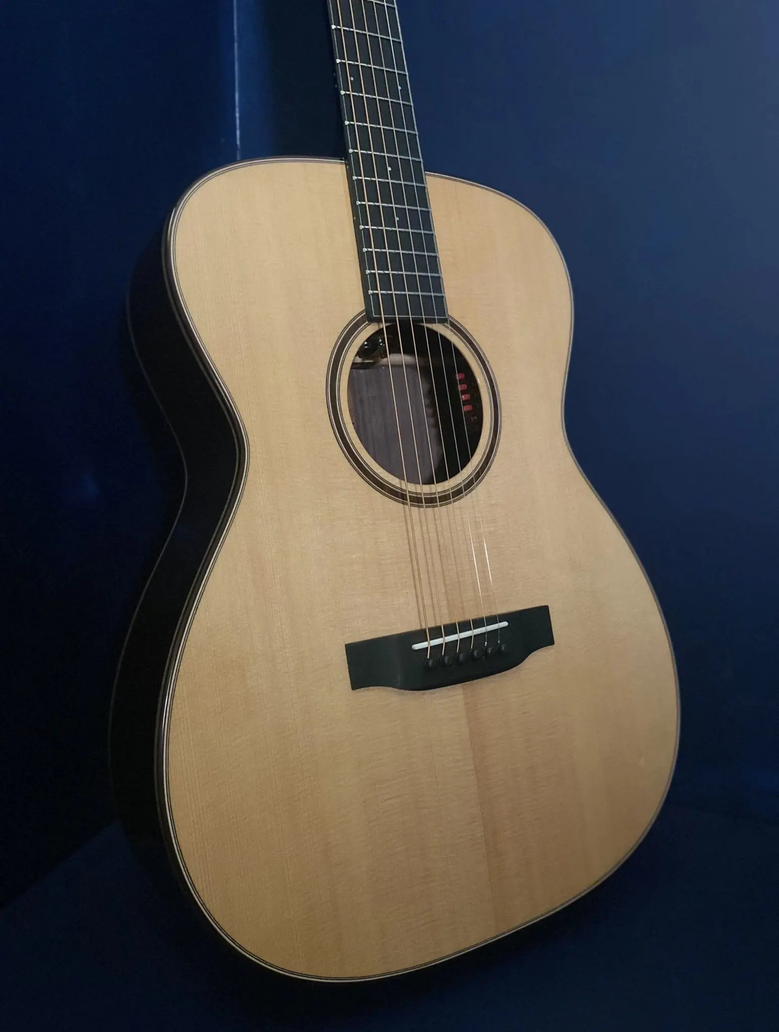 Auden Artist Rosewood Series - Bowman Spruce Full Body - Image 6