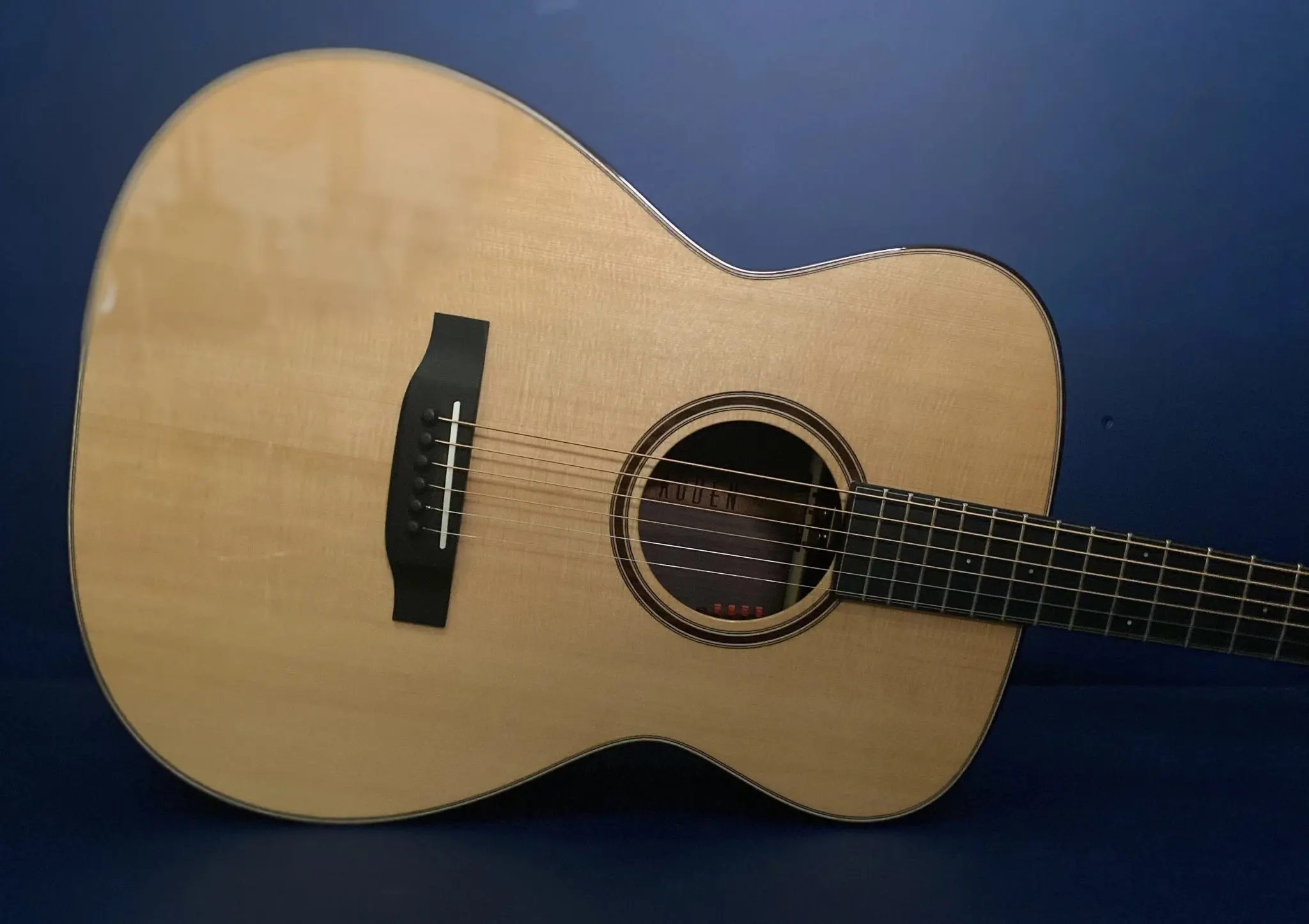 Auden Artist Rosewood Series - Bowman Spruce Full Body - Image 8