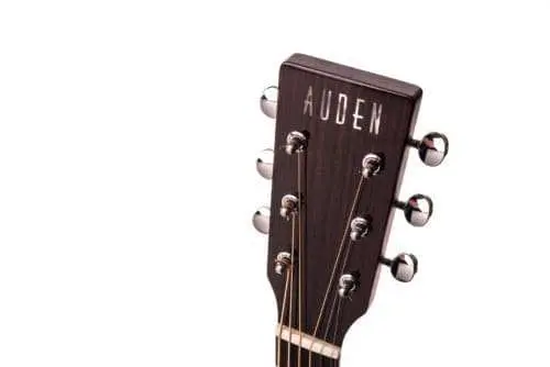 Auden Artist Rosewood Series - Colton Spruce Fullbody - Image 7