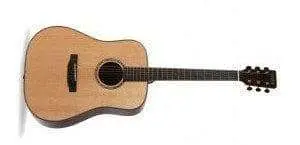 Auden Artist Rosewood Series - Colton Spruce Fullbody - Image 8