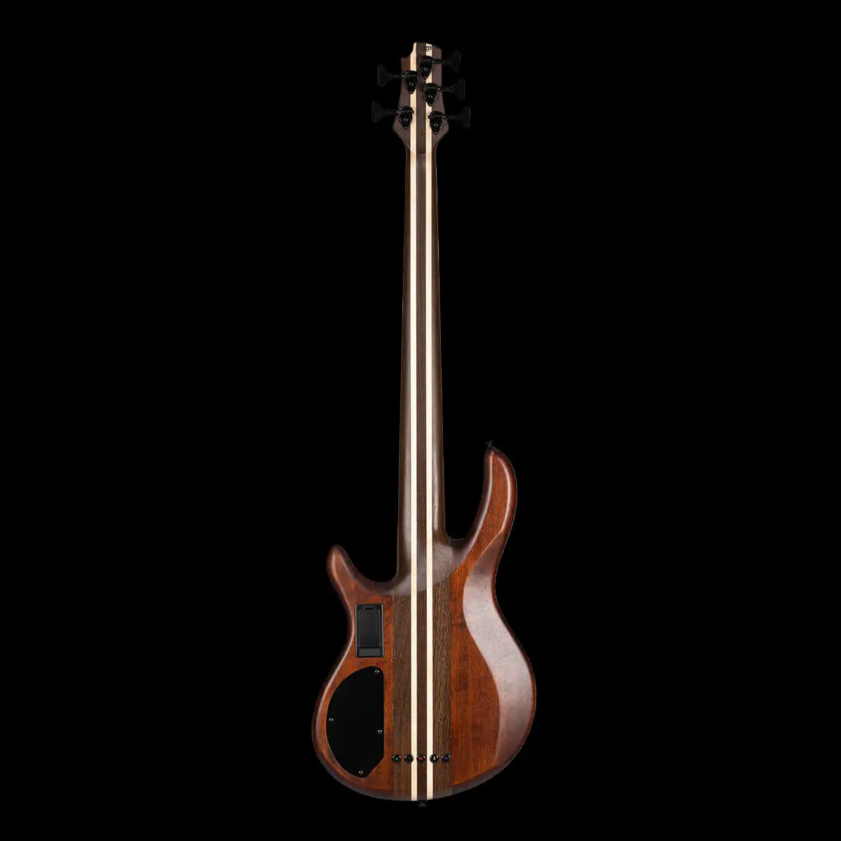 Cort A5 Ultra Ash ENB W/ Soft Case Bass Guitar - Image 2