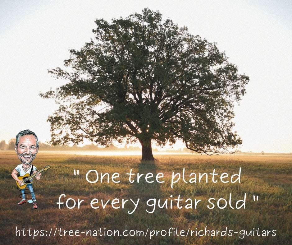 Cort Action Bass Junior Open Pore Walnut Bass Guitar - Image 14