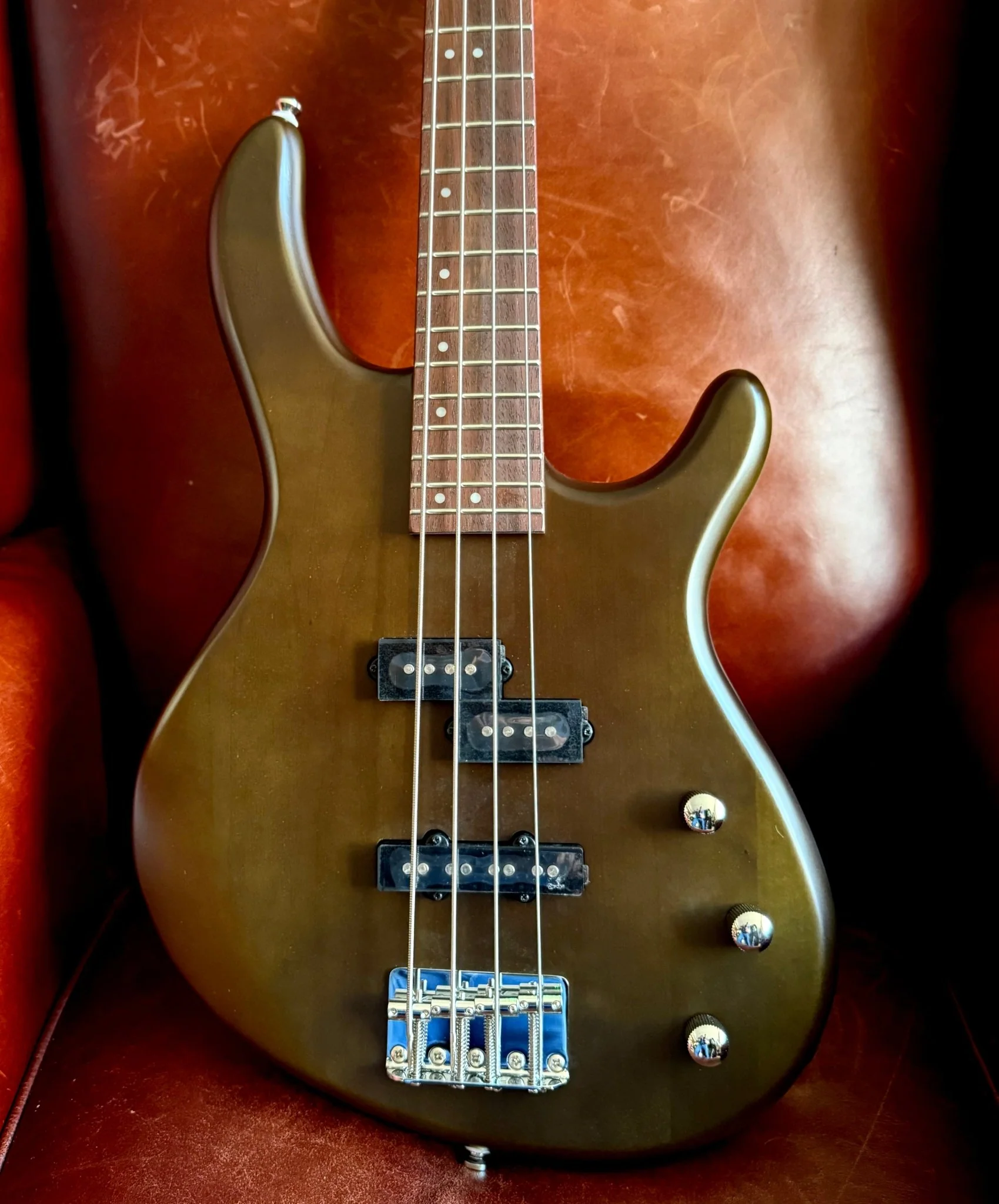 Cort Action Bass PJ Open Pore Walnut Bass Guitar - Image 8