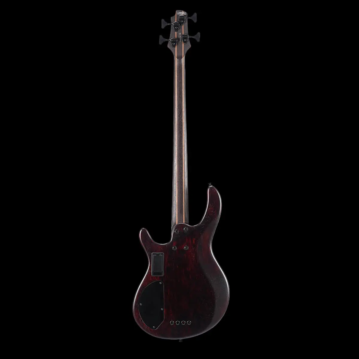 Cort Artisan B4 Element, Open Pore Natural Bass Guitar - Image 2