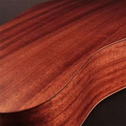 Cort Earth Acoustic Bevel Cut Open Pore - Image 6