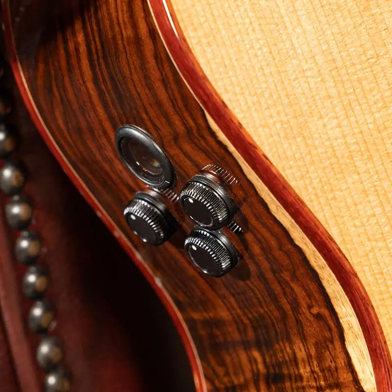 Cort Gold A10 Cocobolo Electro Acoustic Guitar - Image 2