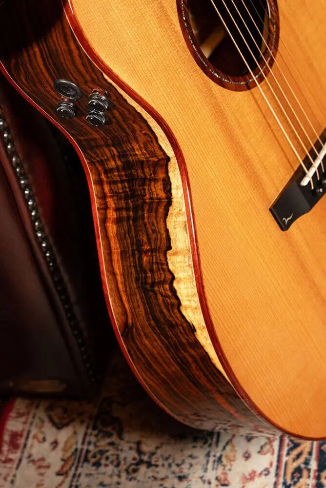 Cort Gold A10 Cocobolo Electro Acoustic Guitar - Image 3
