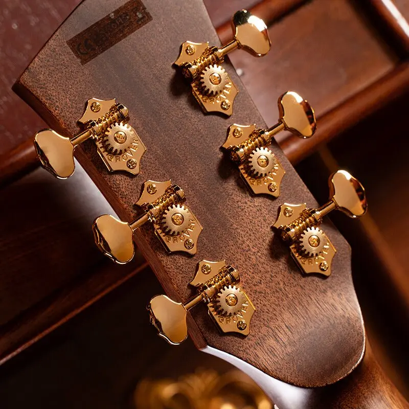 Cort Gold A10 Cocobolo Electro Acoustic Guitar - Image 5