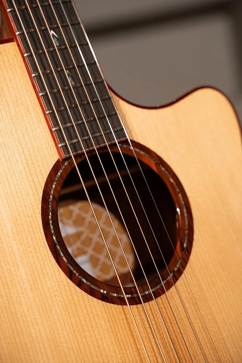 Cort Gold A10 Cocobolo Electro Acoustic Guitar - Image 7