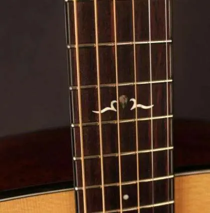 Cort Gold D6 w/case Natural Electro Acoustic Guitar - Image 14